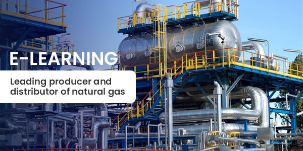 Leading producer and distributor of natural gas